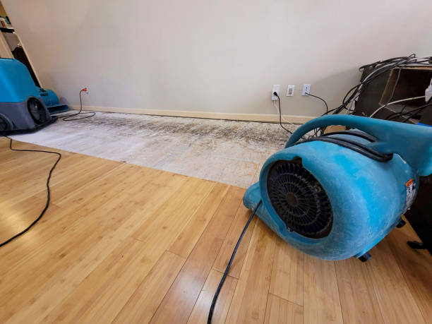 Professional Sewage Cleanup technician working in Burton, MI